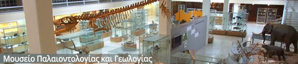 Μουσείο Παλαιοντολογίας